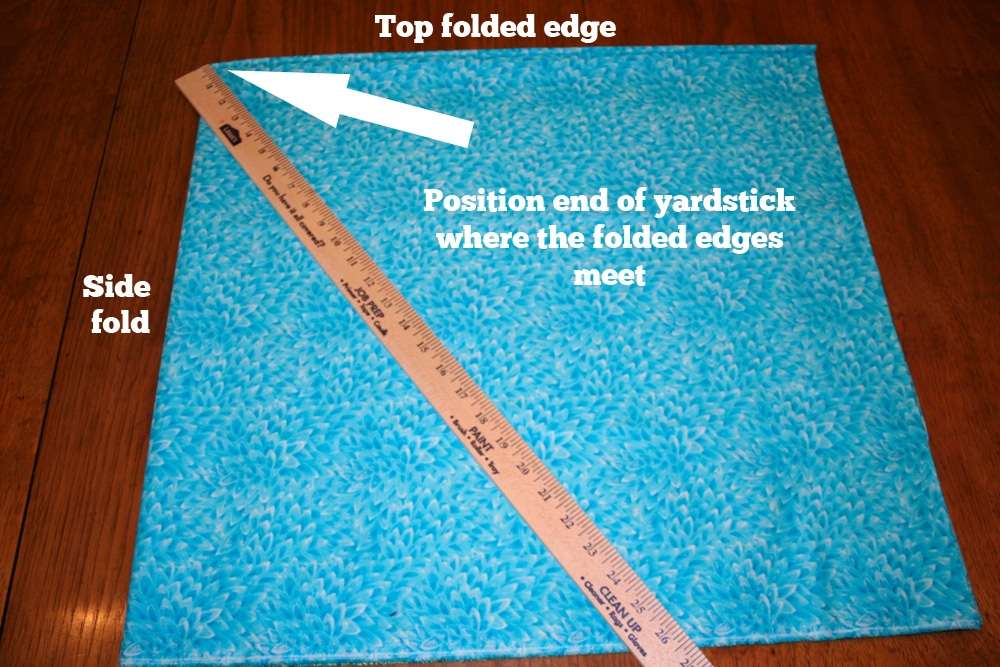 Step-by-step instructions to create the quickest DIY No Sew Bird Costume ever. This entire costume was assembled in about 2 hours!
