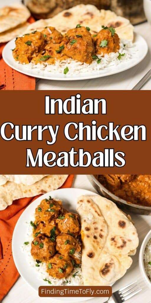 Indian Curry Chicken Meatballs