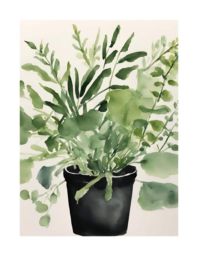 Botanicals in Black Pot