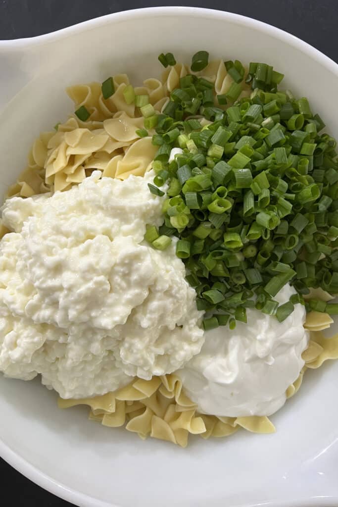 combine egg noodles, cottage cheese, greek yogurt and chopped green onions