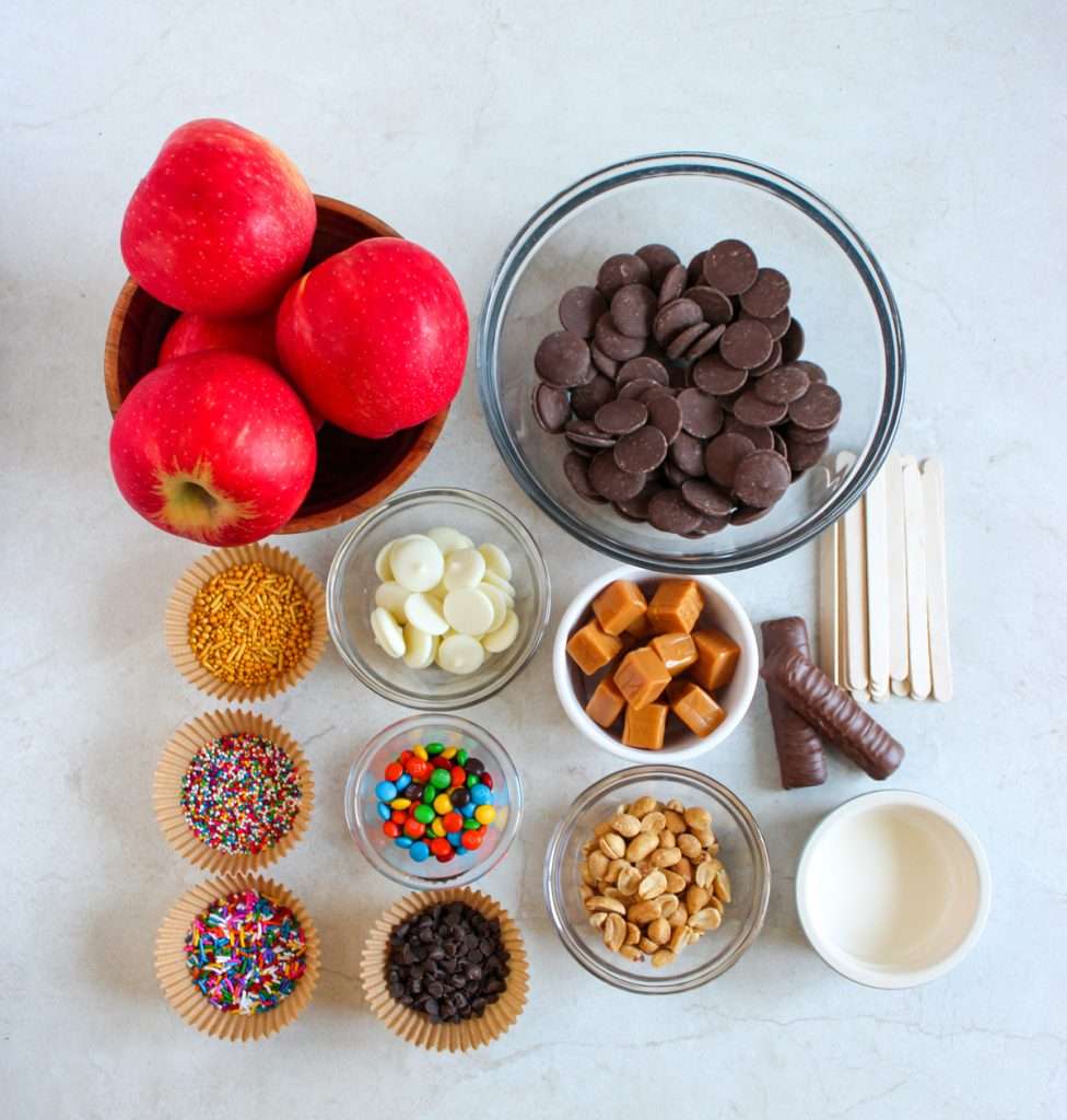 Ingredients for Chocolate Covered Apples