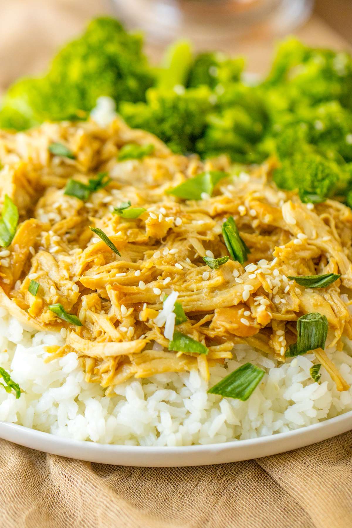 Slow Cooker Chicken Teriyaki