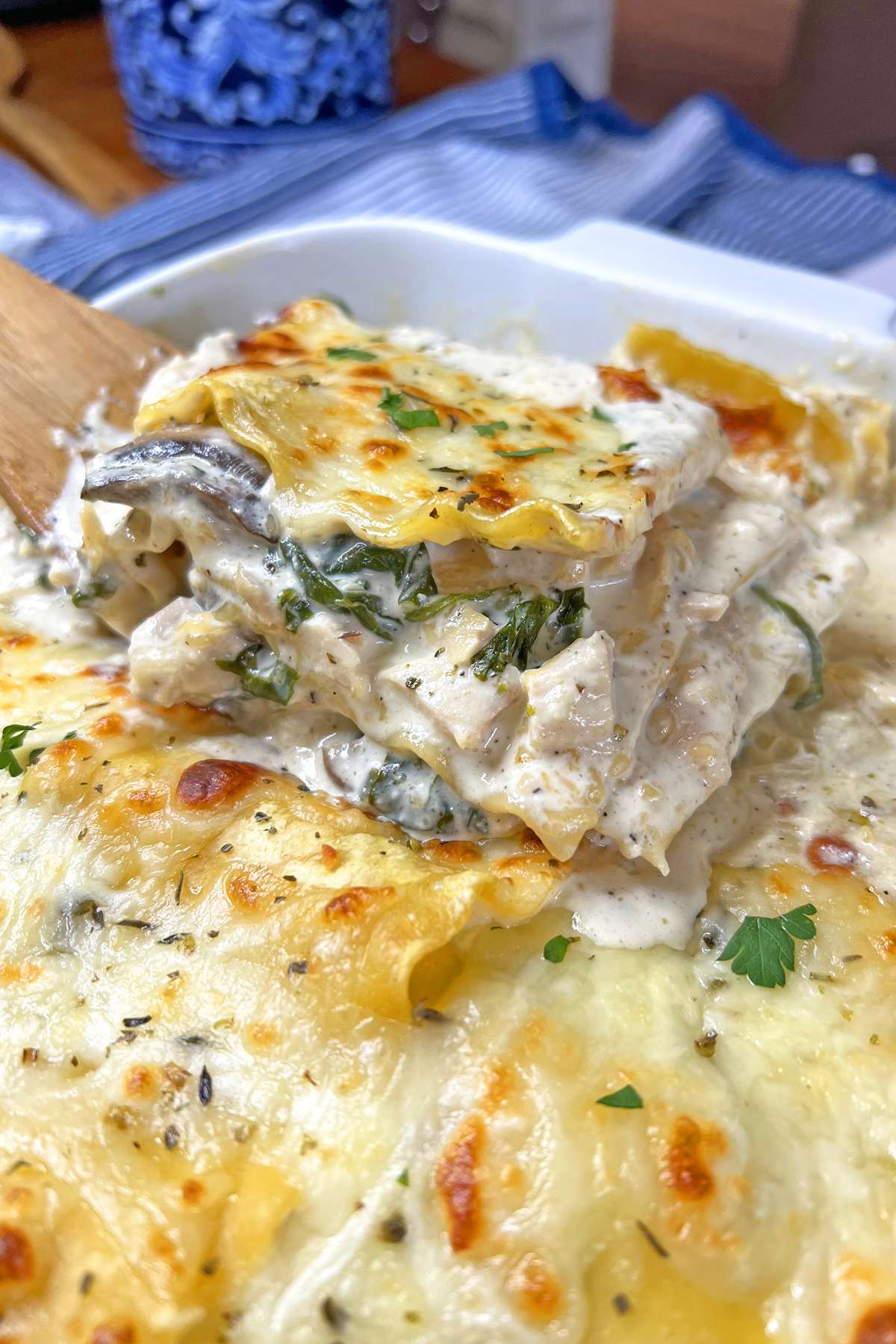 Chicken Alfredo Lasagna