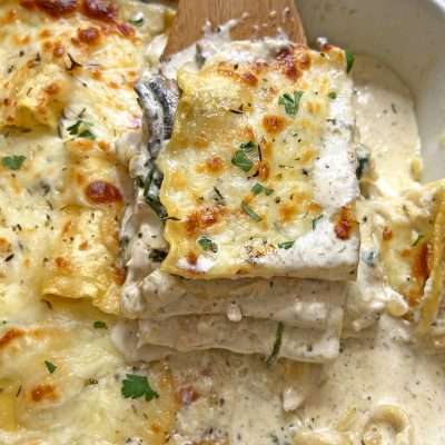 Chicken Alfredo Lasagna