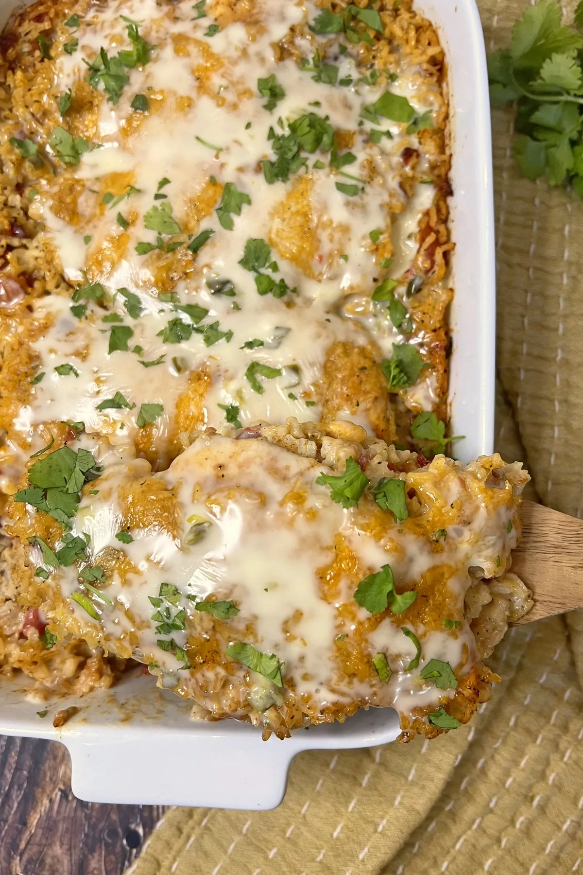 Queso Chicken and Rice