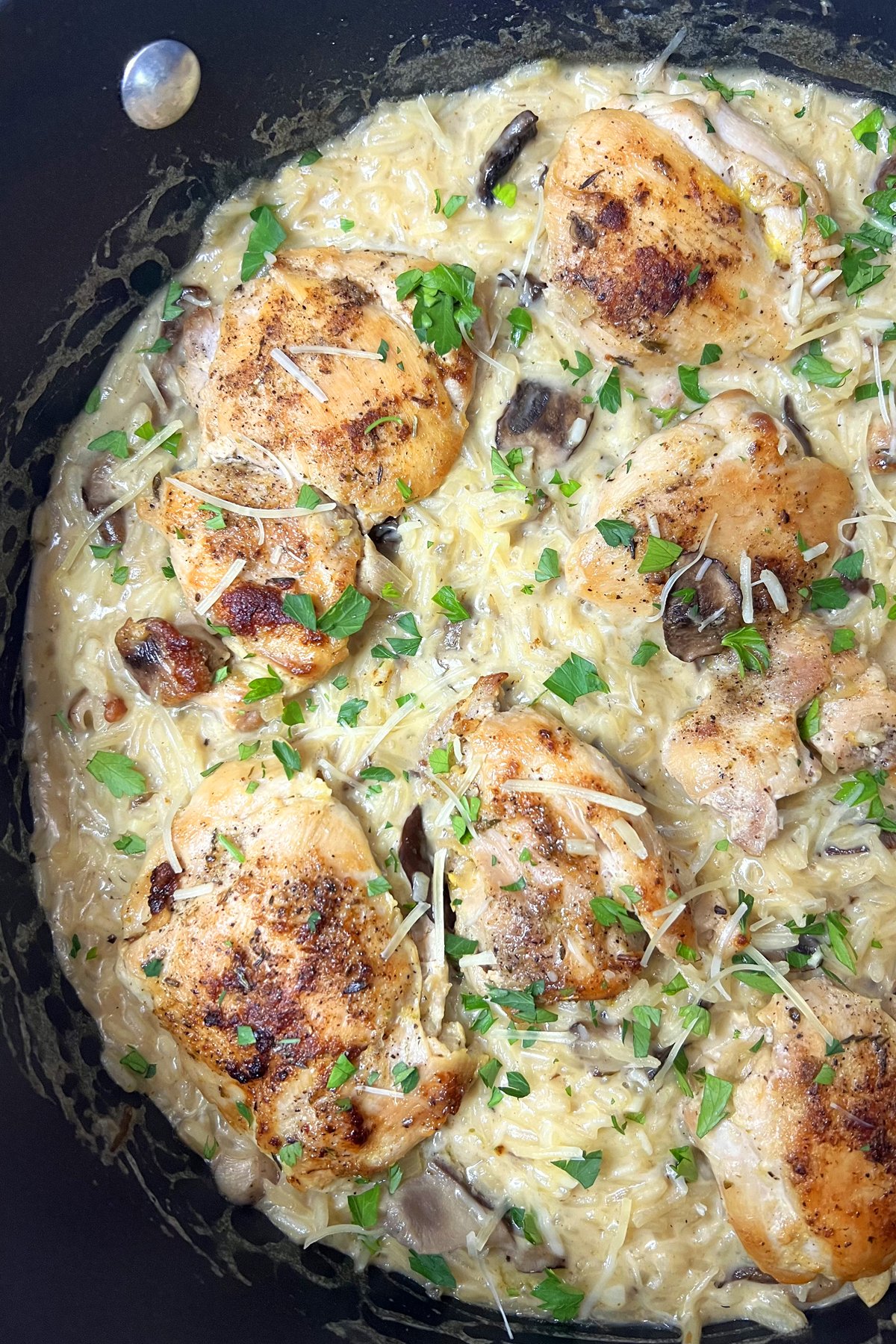 Creamy Mushroom Chicken and Rice
