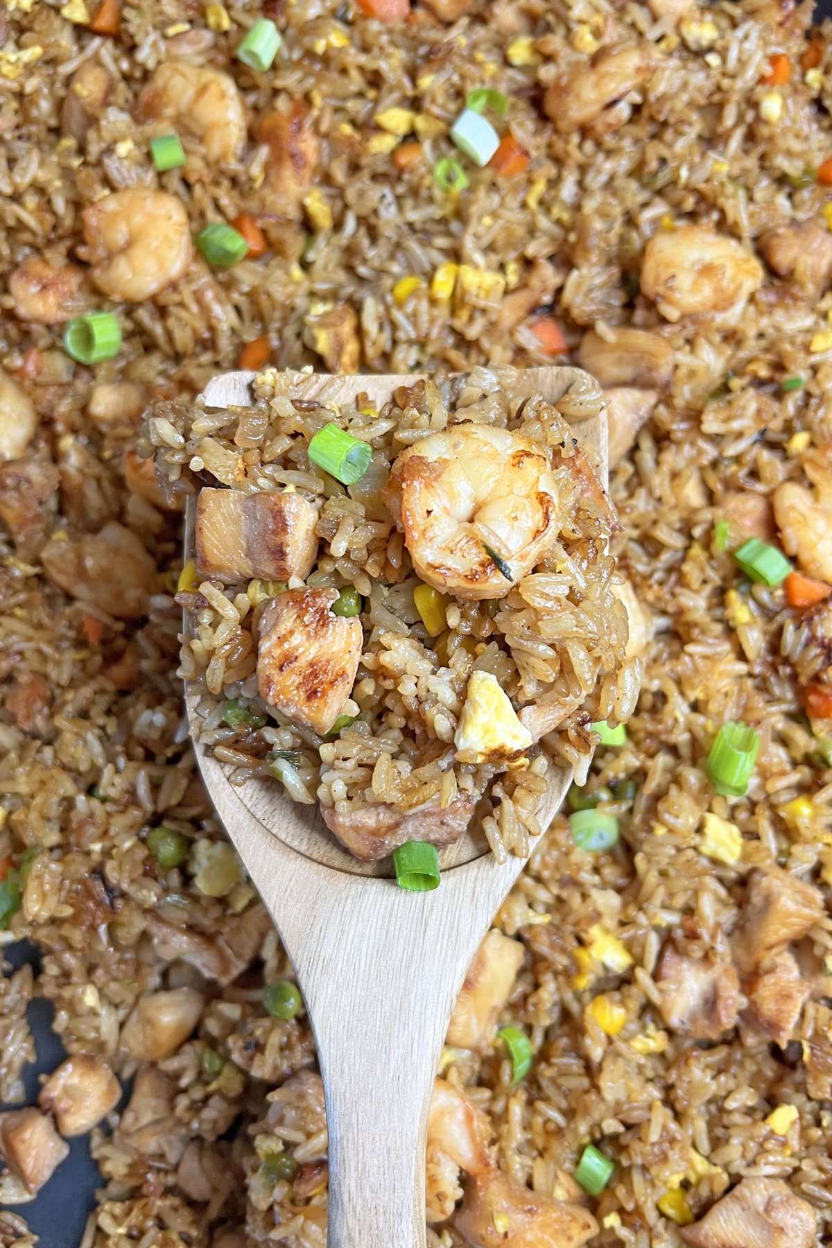 Shrimp and Chicken Fried Rice