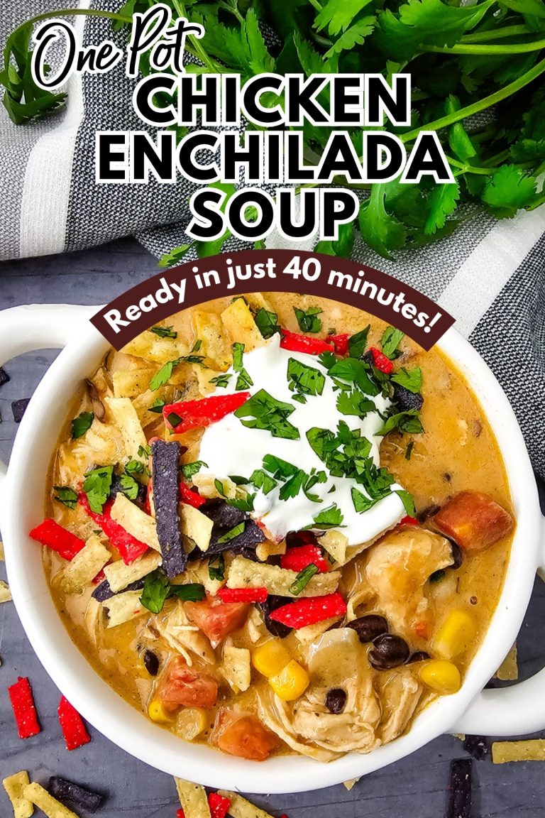 Chicken Enchilada Soup
